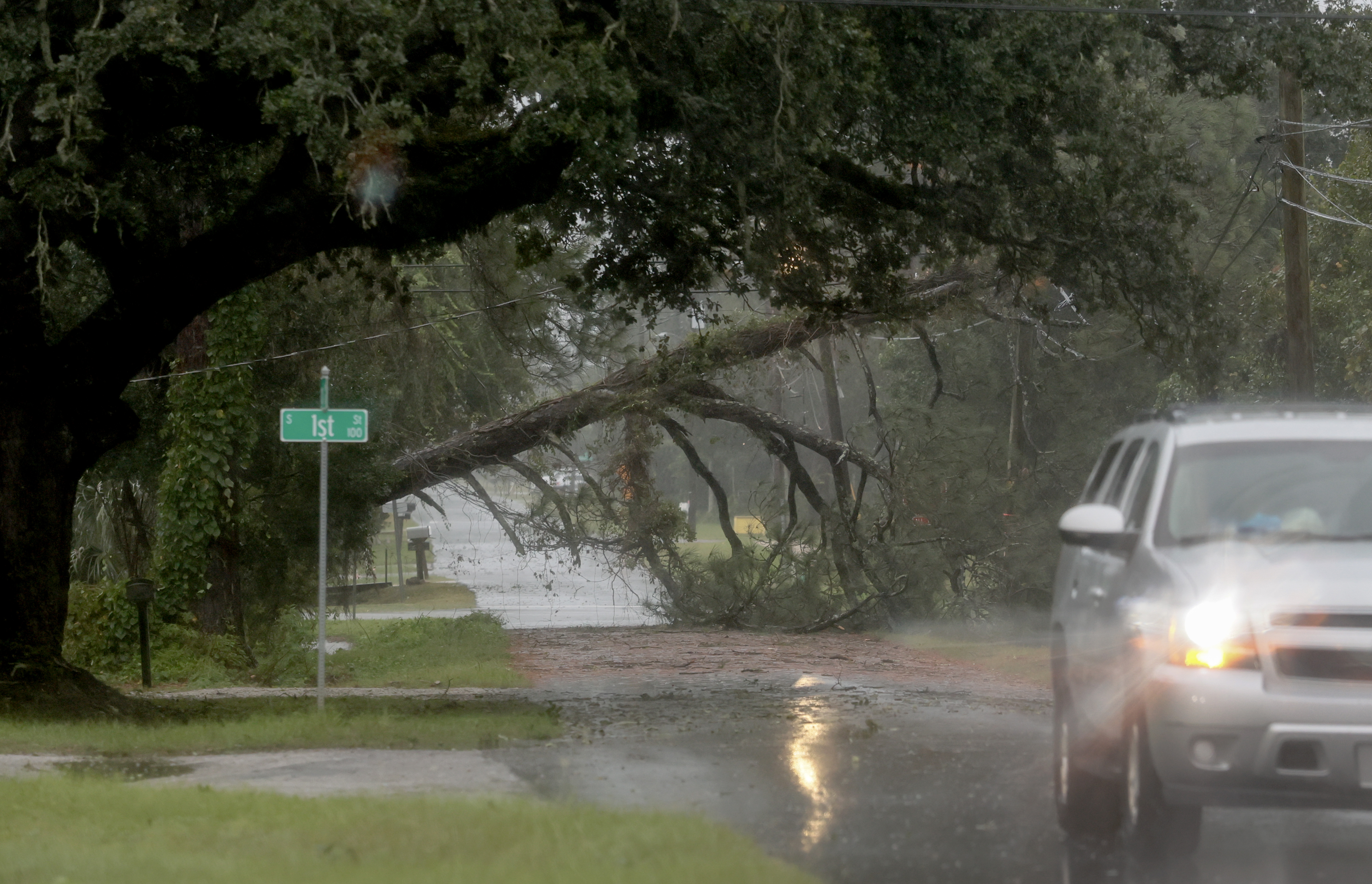 PENSACOLA, FLORIDA - OCTOBER 09: A fallen tree blocks a street as wind and rain from Hurricane Isaias approach the area on October 09, 2026, in Pensacola, Florida. Hurricane Isaias is in the Gulf of Mexico as the season's first Atlantic hurricane. It is projected to make landfall along the northern U.S. Gulf Coast as a category two hurricane.  (Photo by Joe Raedle/Getty Images)