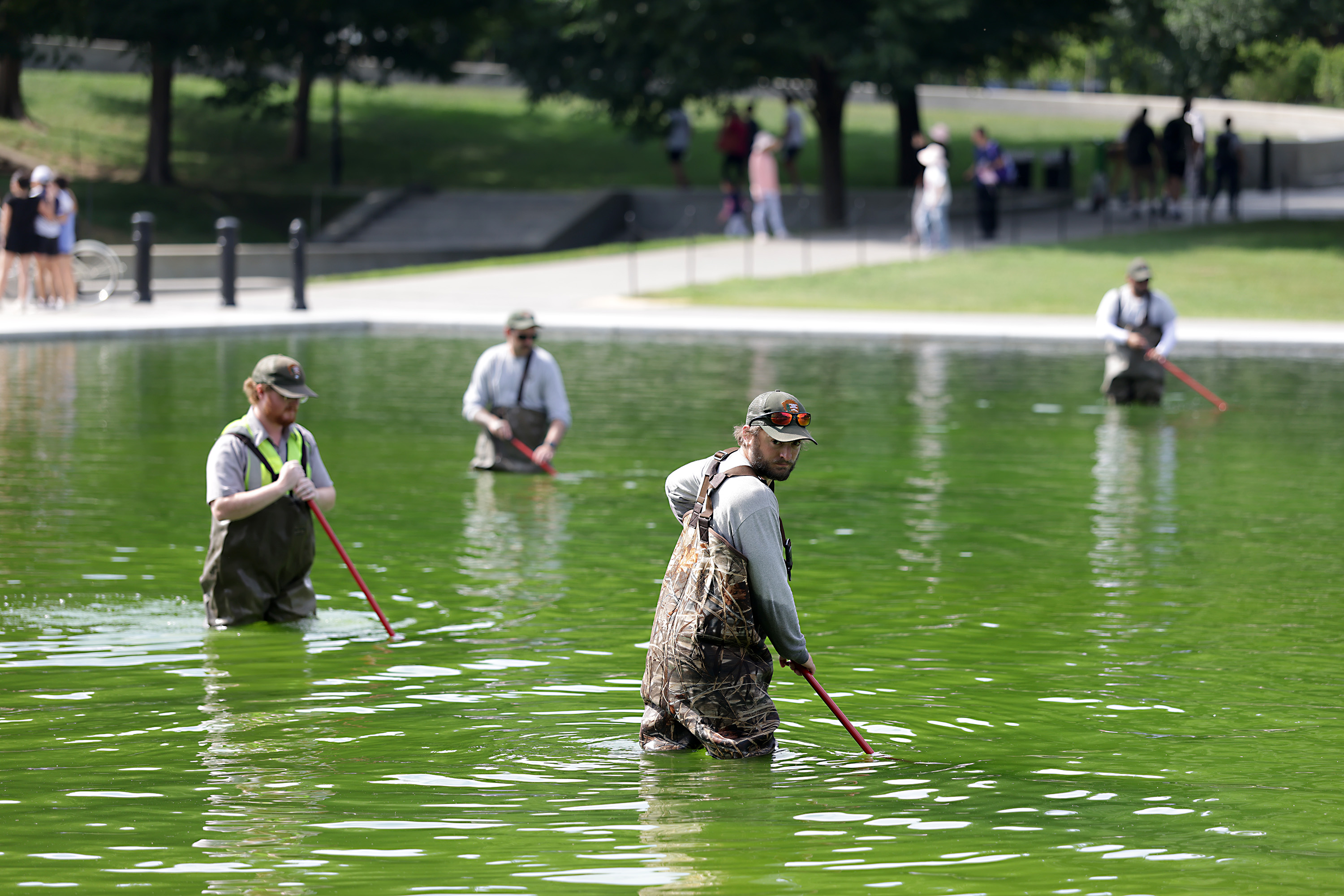 WASHINGTON, DC - JUNE 14: National Park Service employees work to clean up algae in the Lincoln Memorial Reflecting Pool following the completion of recent renovations on June 14, 2026 in Washington, DC. The reflecting pool construction project started in April and work was completed last week as part of President Donald Trump’s plan ahead of the nation’s 250th anniversary. (Photo by Tasos Katopodis/Getty Images)