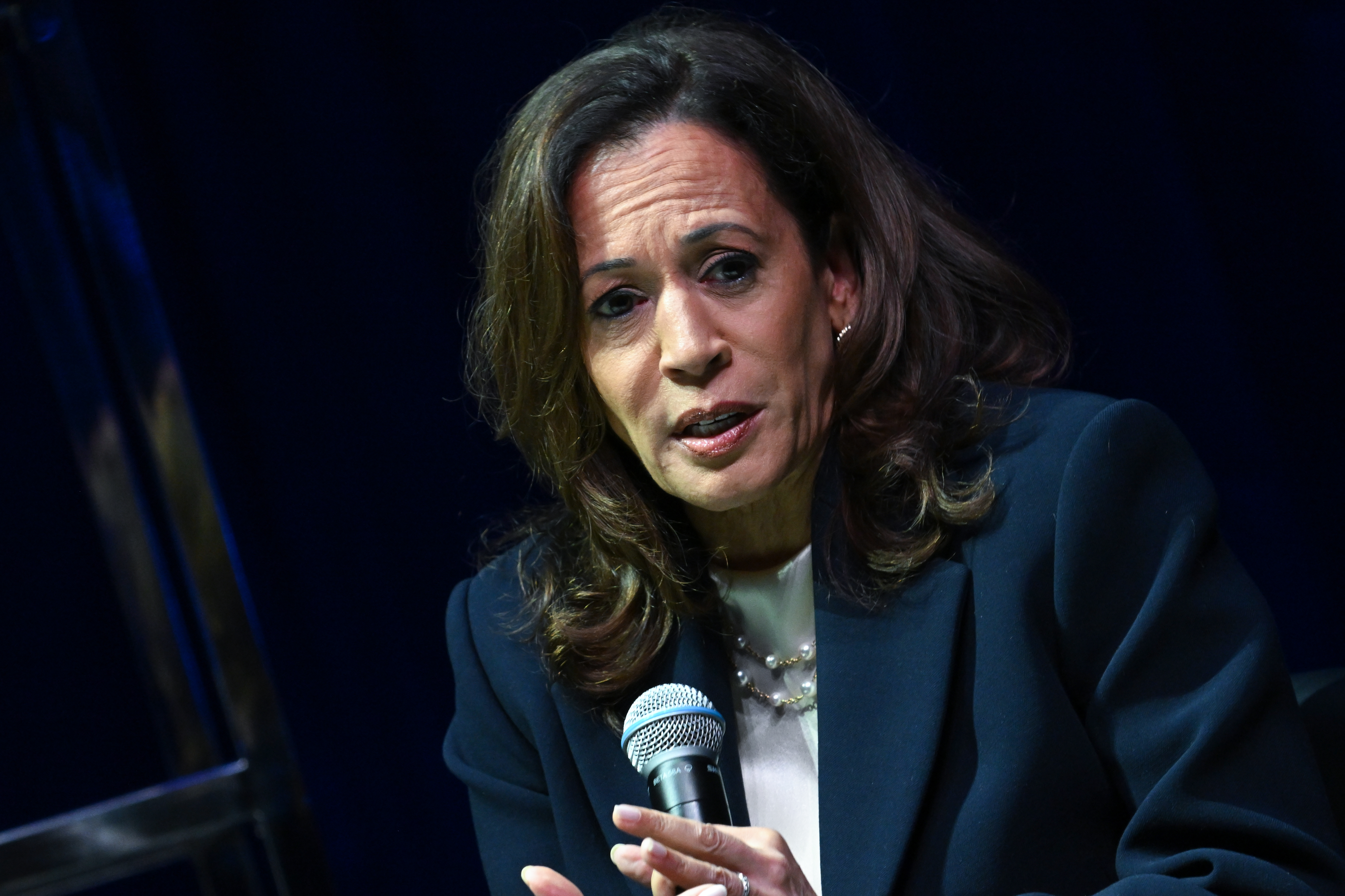 ATLANTA, GEORGIA - OCTOBER 08: Former U.S. Vice President Kamala Harris speaks onstage during her