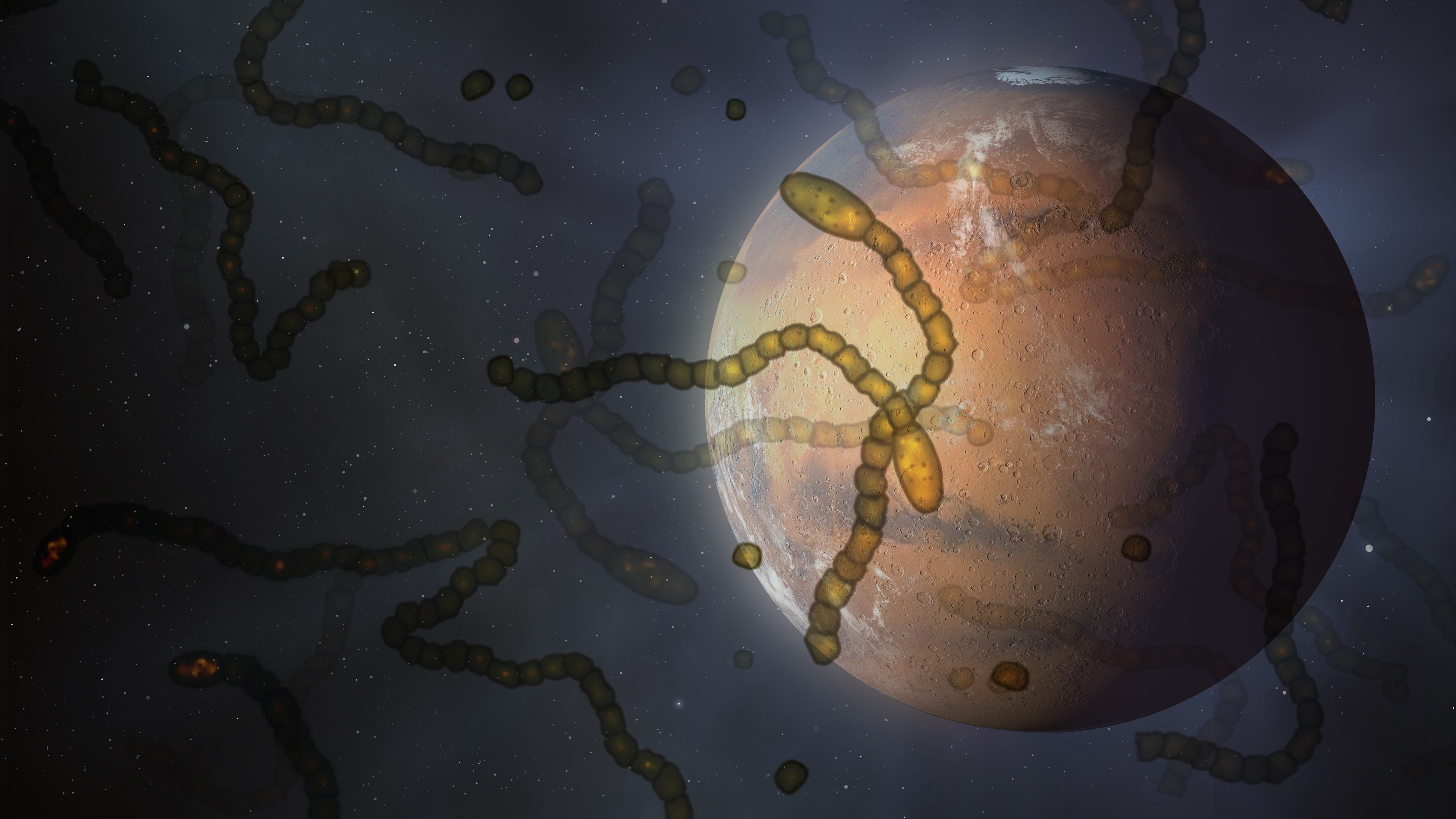 Alien microbes in space above Mars, conceptual illustration. Mars once had a wet climate, which prompts many astronomers to believe that life may have arisen there in the past, and perhaps exists there still. This illustration conceptualises the idea, showing microorganisms floating above Mars. In 1996, NASA announced that they had found evidence for fossilised microorganisms in a meteorite hailing from Mars. However, whether these structures are indeed fossilised life forms or merely Earth-based contaminants remains unsettled.