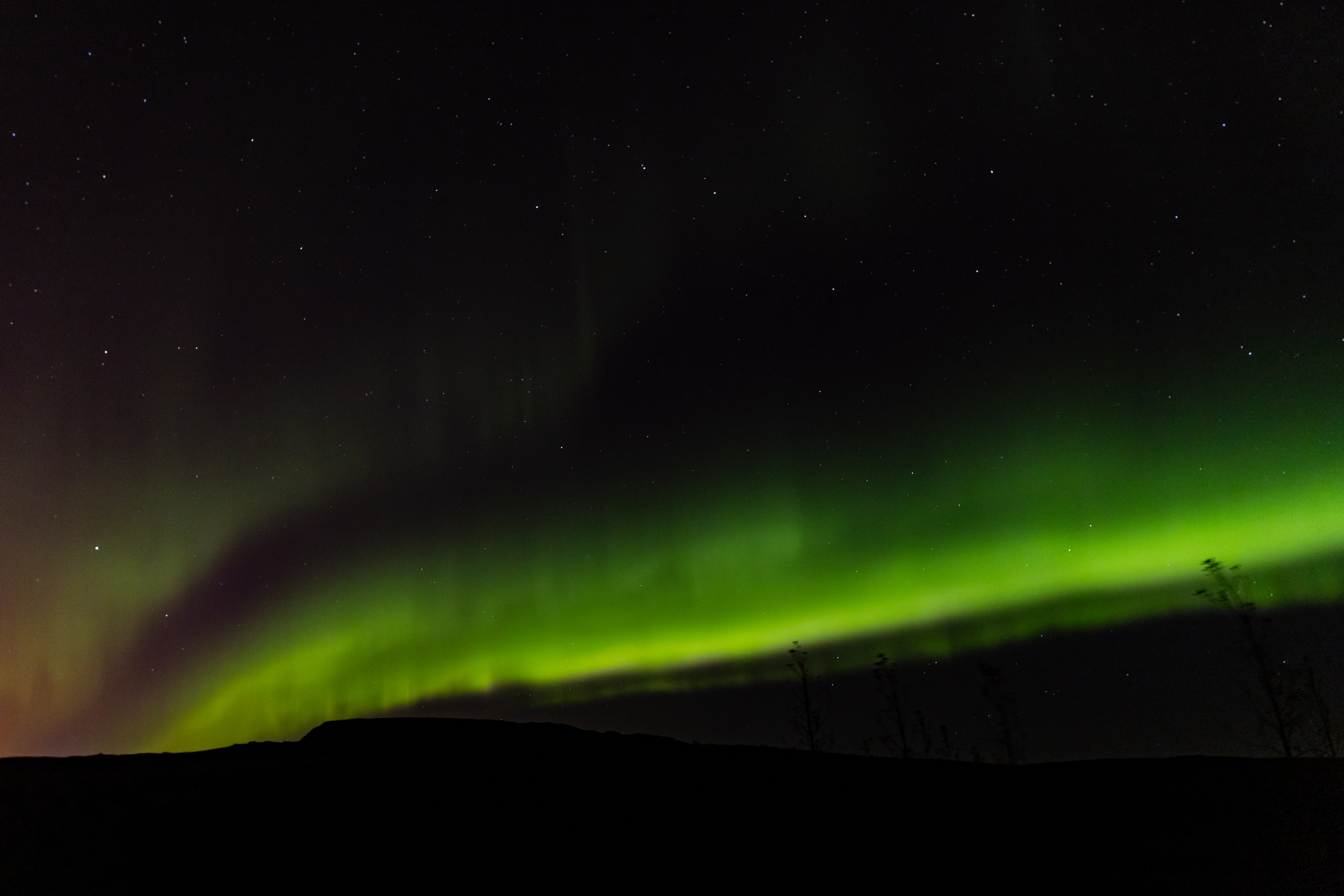 SELFOSS, ICELAND - OCTOBER 05: Green Aurora Borealis light up the sky near Selfoss on October 05, 2024 in Selfoss, Iceland. The Aurora Borealis or 'Northern Lights' is a natural light display caused by solar wind disturbances in the Earth's Magnetosphere. It usually occurs in the north of the northern hemisphere, around the Arctic but more recently has been visible further south in the hemisphere. (Photo by Aldara Zarraoa/Getty Images)