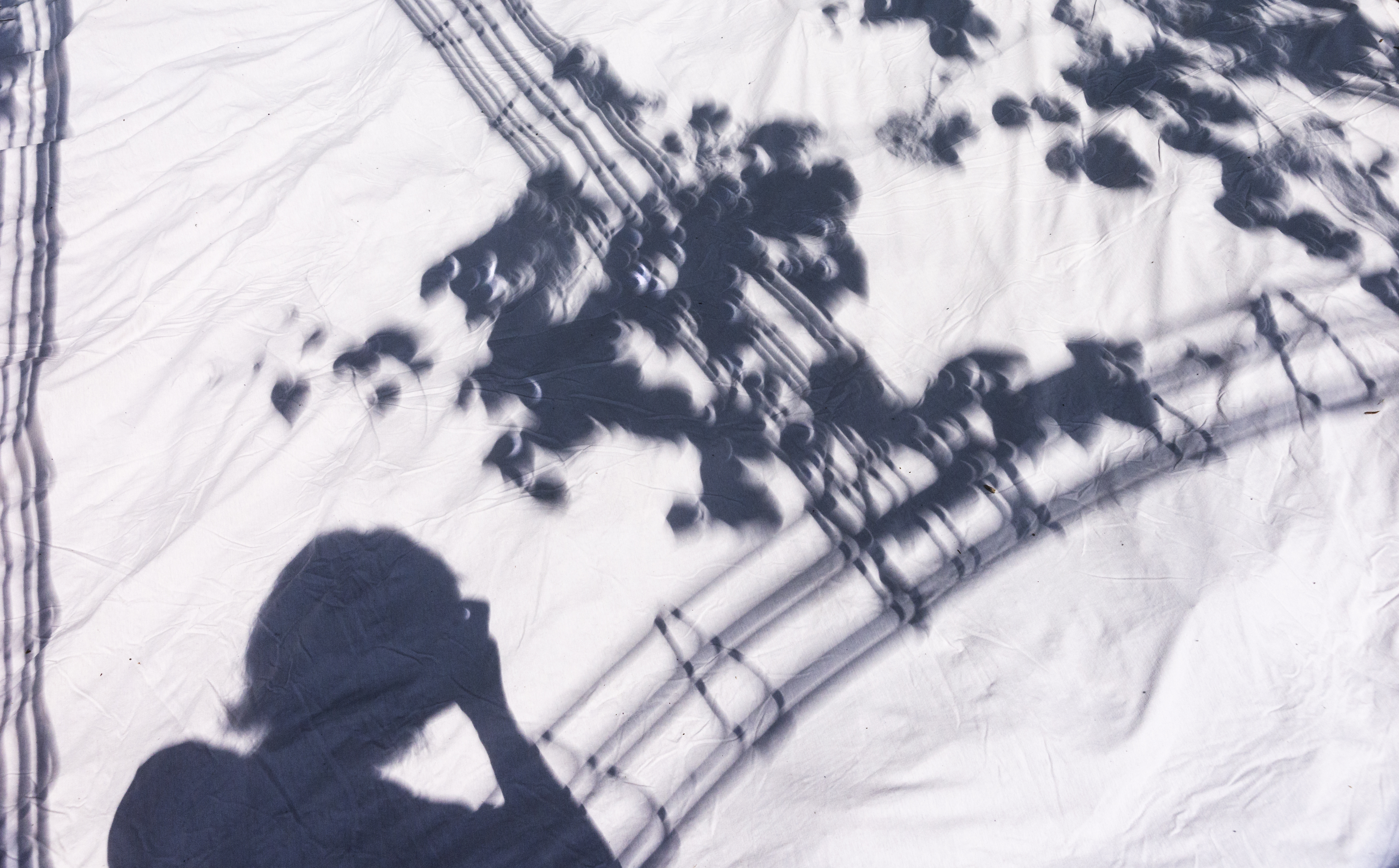 Silhouette of woman photographing shadows of sun crescents cast on a white sheet during the solar eclipse totality in Evansville, IN, USA