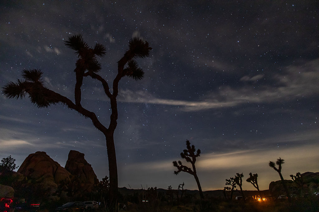 Milky way is seen in the sky during the Perseid Meteor Shower over Joshua Tree National Park on August 13, 2026 in Joshua Tree, California. (Image Source: Apu Gomes/Getty Images)