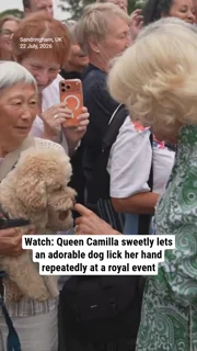 Watch: Queen Camilla sweetly lets an adorable dog lick her hand repeatedly at a royal event