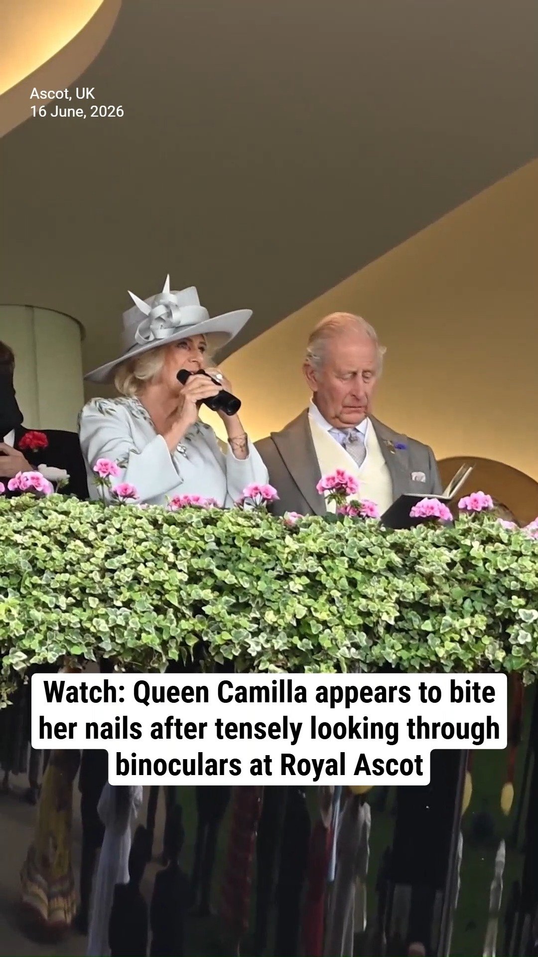 Watch: Queen Camilla appears to bite her nails after looking through binoculars at Royal Ascot