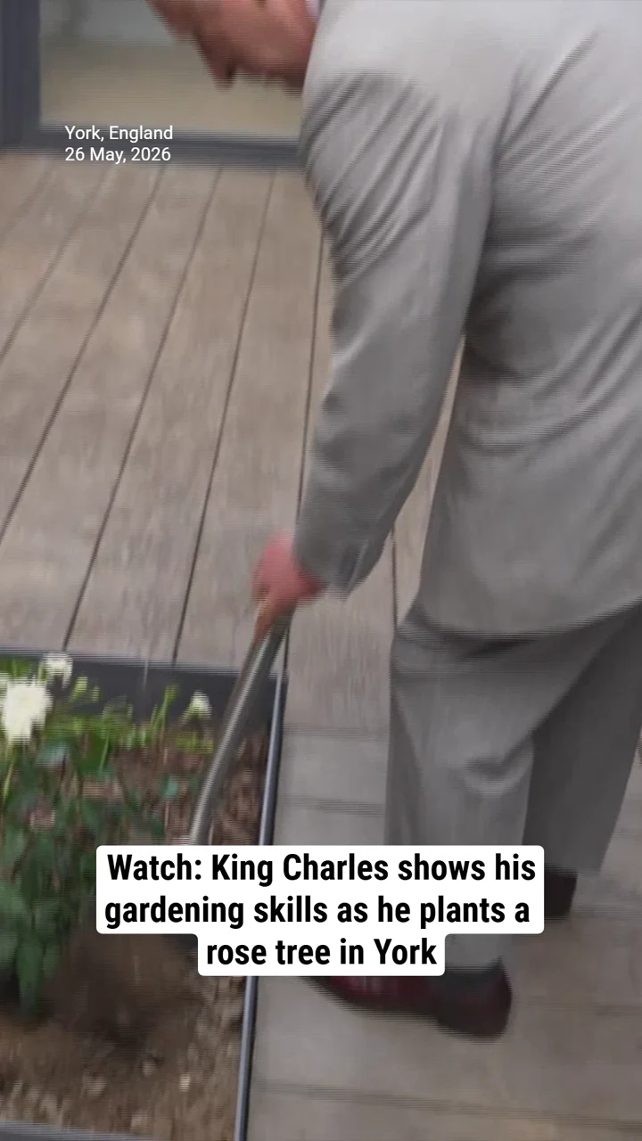 Watch: King Charles shows his gardening skills as he plants a rose tree in York