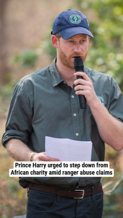 Prince Harry urged to step down from African charity amid ranger abuse claims