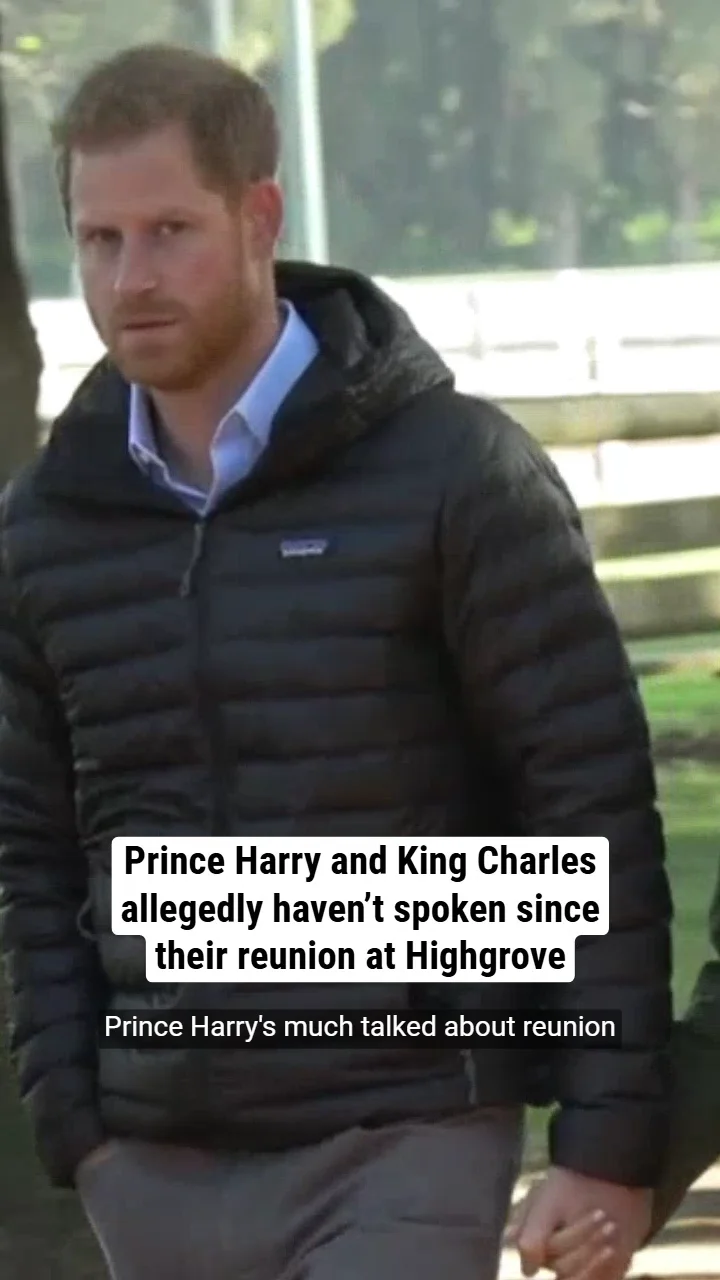 Prince Harry and King Charles allegedly haven’t spoken since their reunion at Highgrove