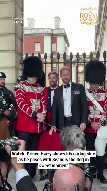 Watch: Prince Harry shows his caring side as he poses with Seamus the dog in sweet moment