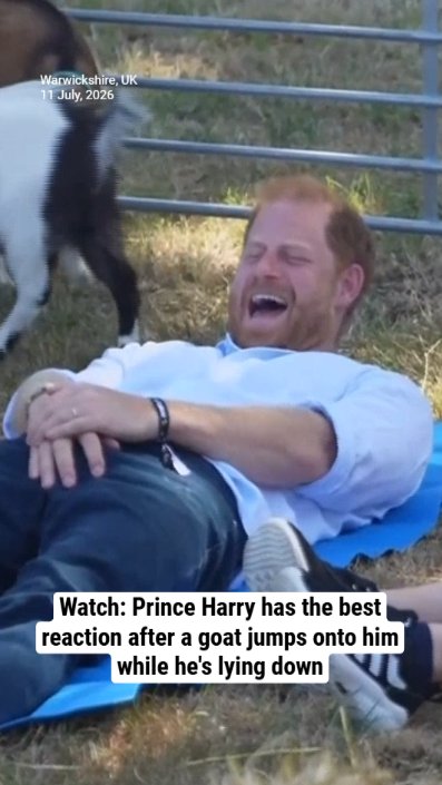Watch: Prince Harry has the best reaction after a goat jumps onto him while he's lying down