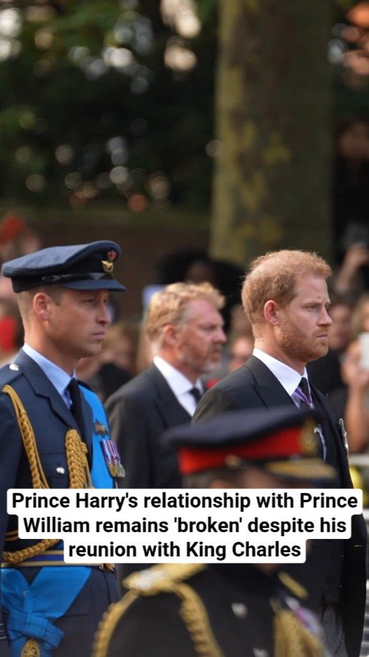 Prince Harry's relationship with Prince William remains 'broken' despite his reunion with King Charles
