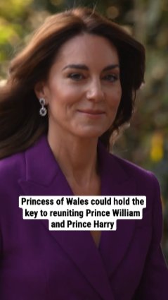 Princess of Wales could hold the key to reuniting Prince William and Prince Harry