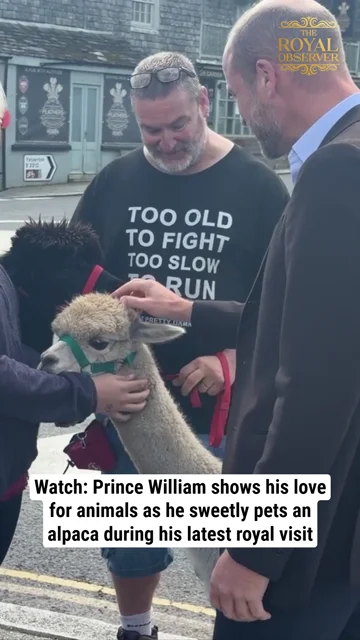 Watch: Prince William shows his love for animals as he sweetly pets an alpaca during his latest royal visit