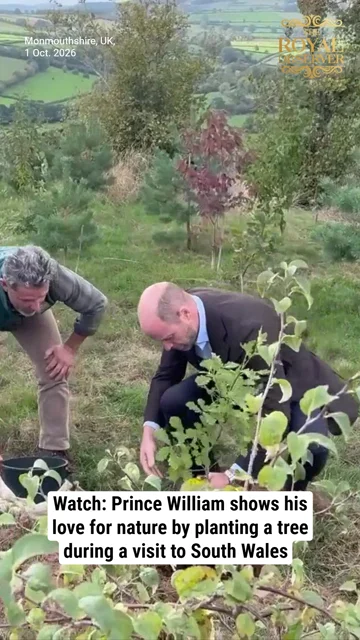 Watch: Prince William shows his love for nature by planting a tree during a visit to South Wales