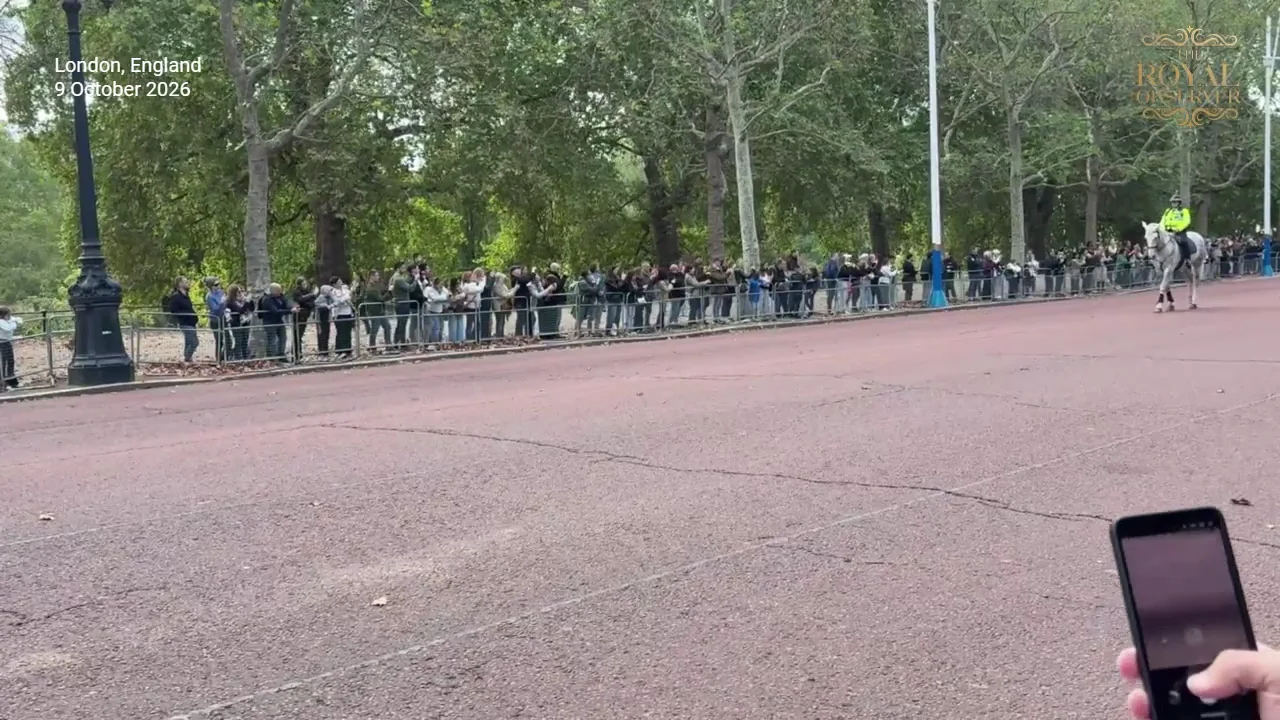Watch: Royal Guards March Through London for Changing of the Guard Ceremony