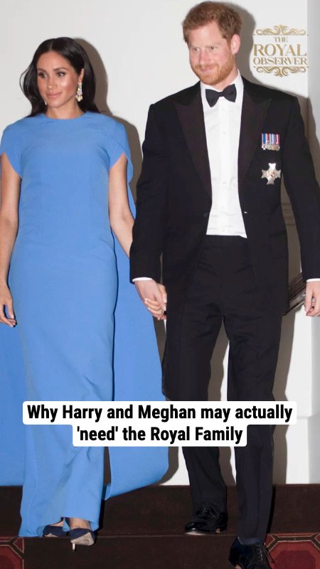 Why Harry and Meghan may actually 'need' the Royal Family