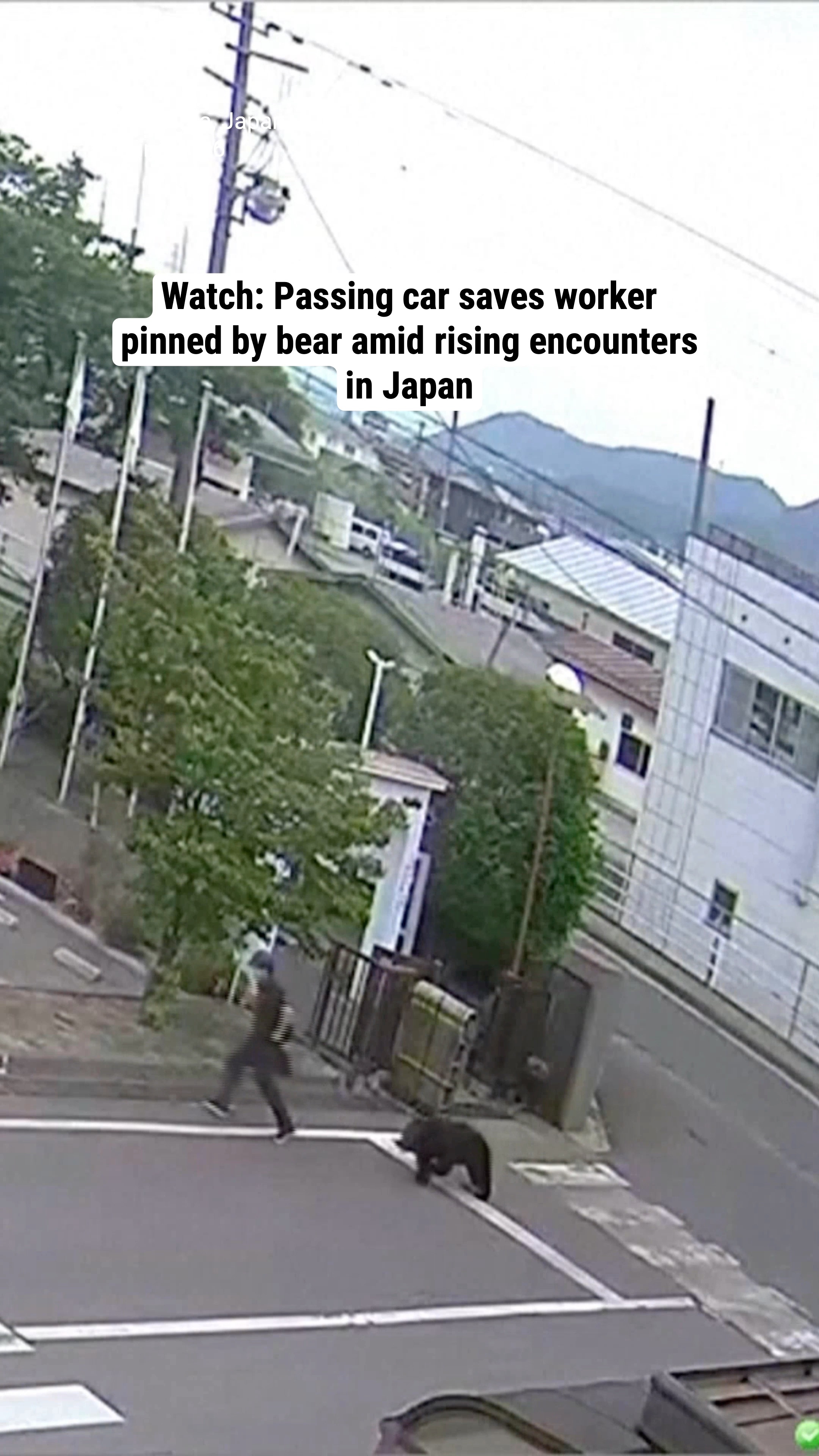 Watch: Passing car saves worker pinned by bear amid rising encounters in Japan