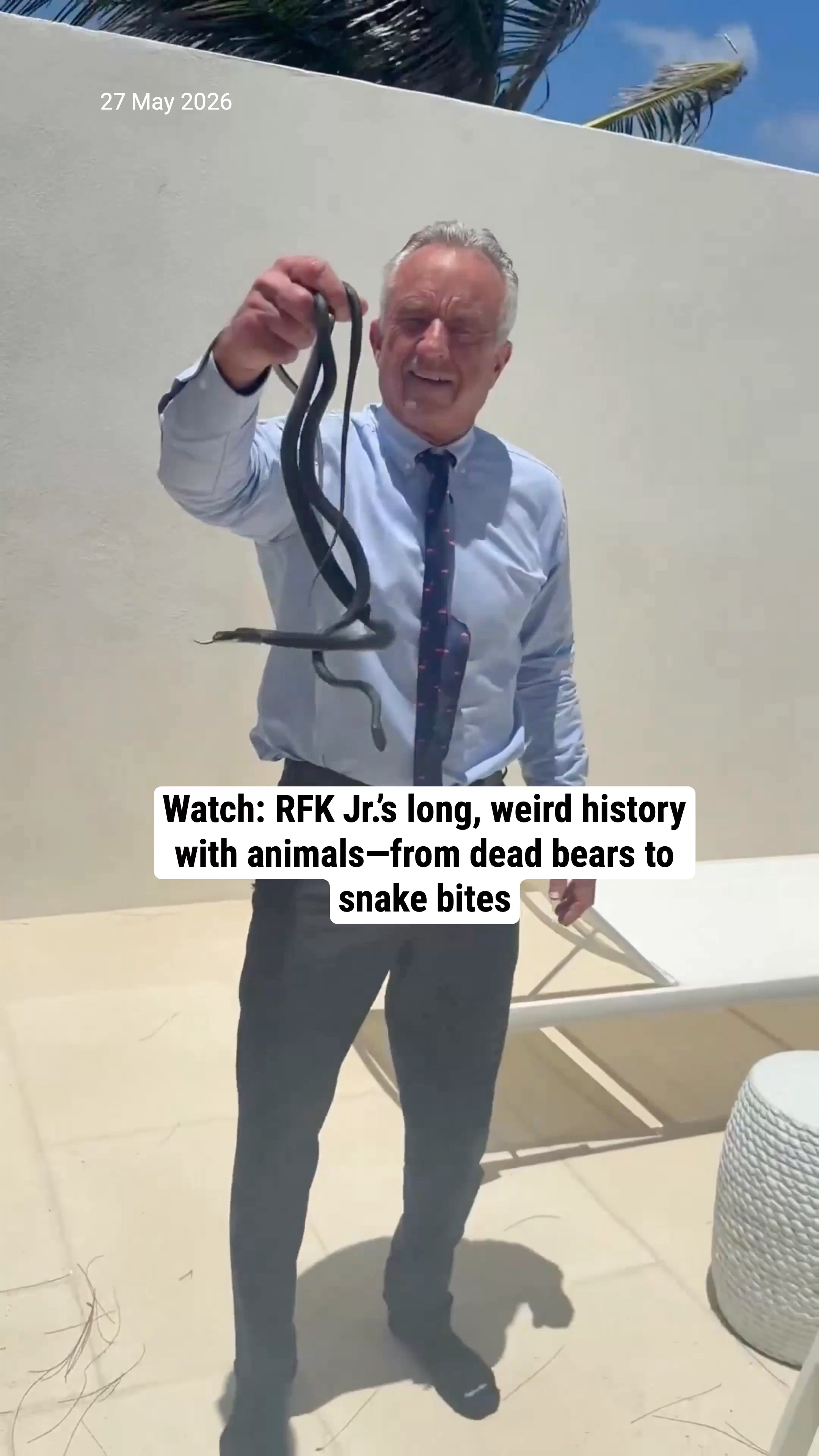 Watch: RFK Jr.’s long, weird history with animals—from dead bears to snake bites