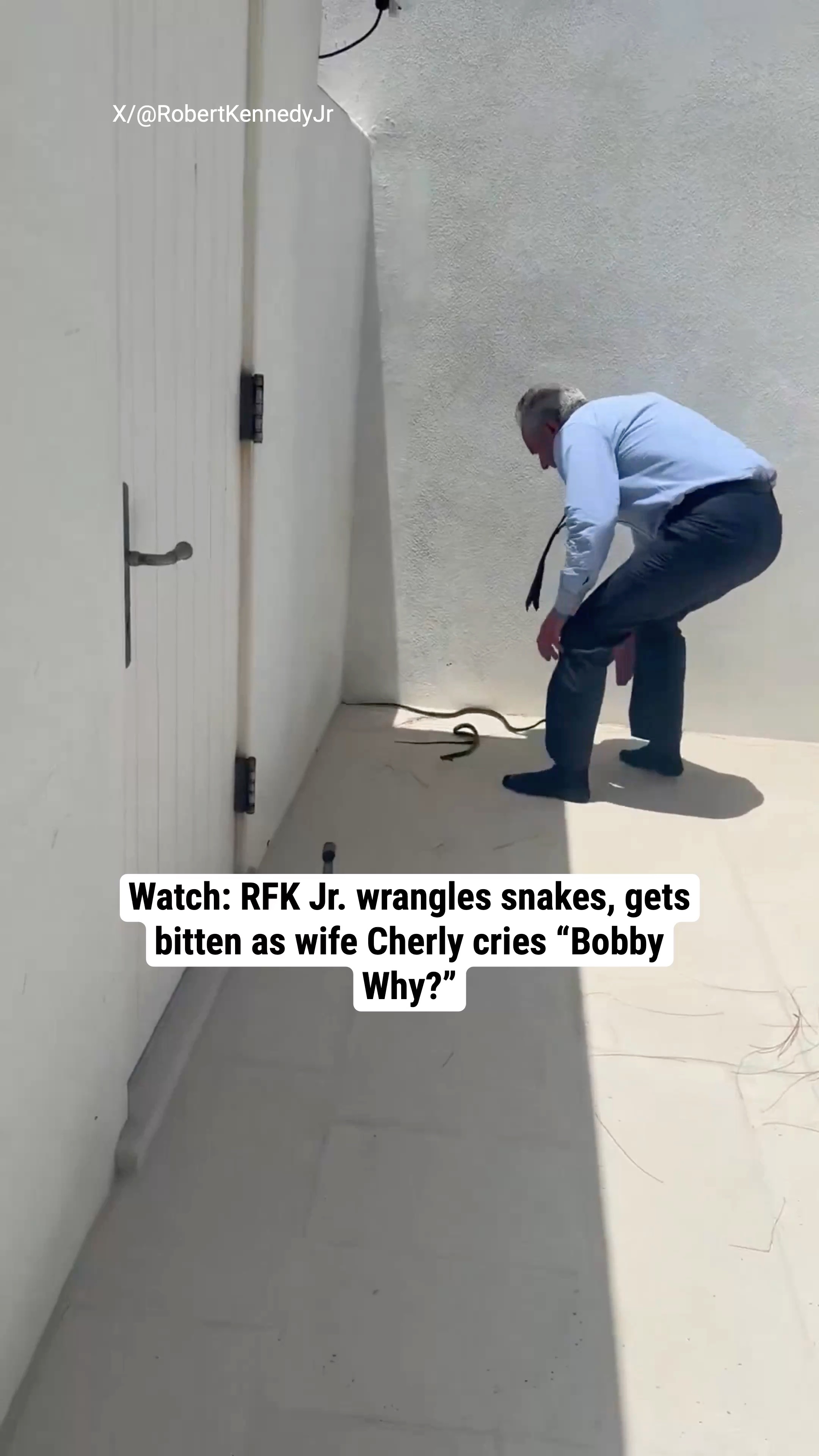 Watch: RFK Jr. wrangles snakes, gets bitten as wife Cherly cries “Bobby Why?”
