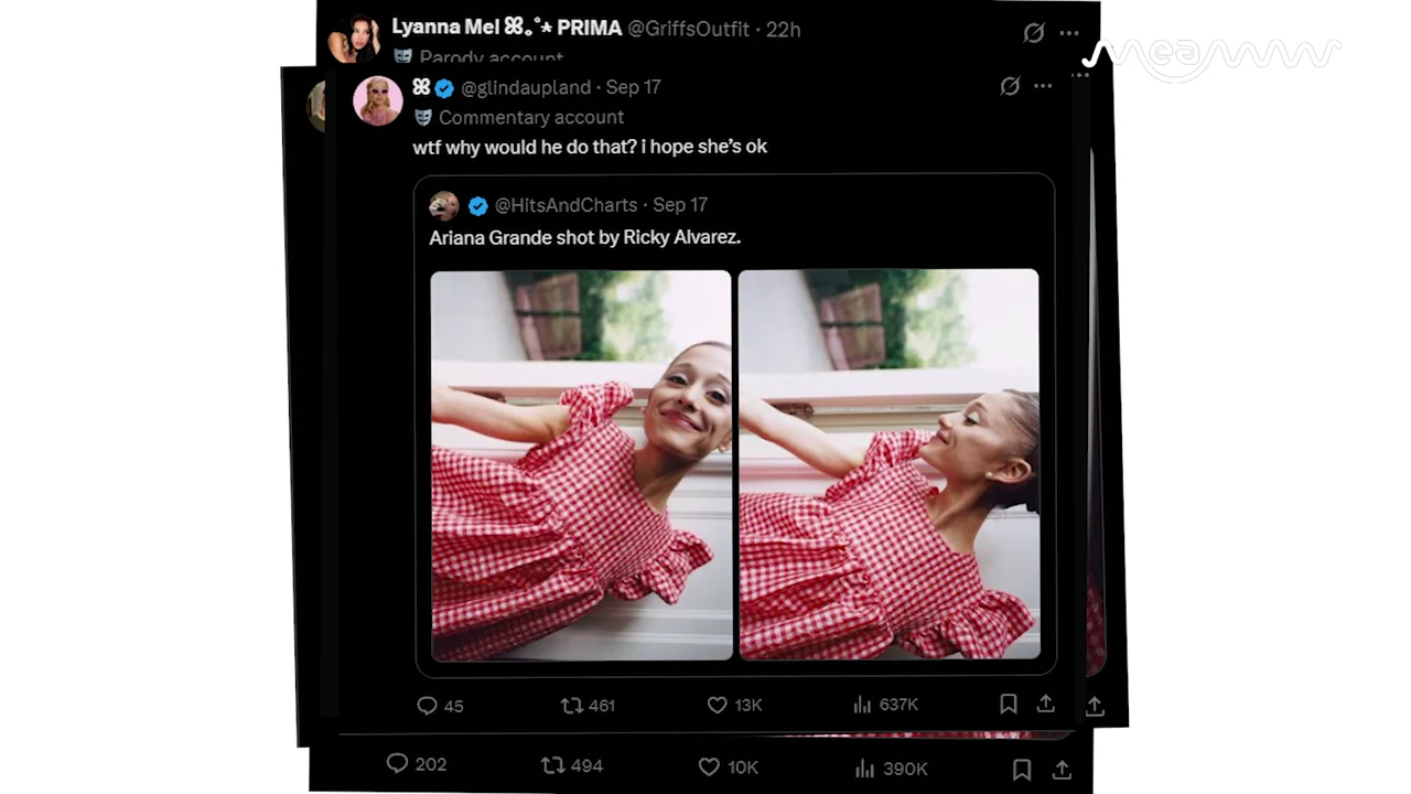 Ariana Grande's Gingham Dress Photos Spark 