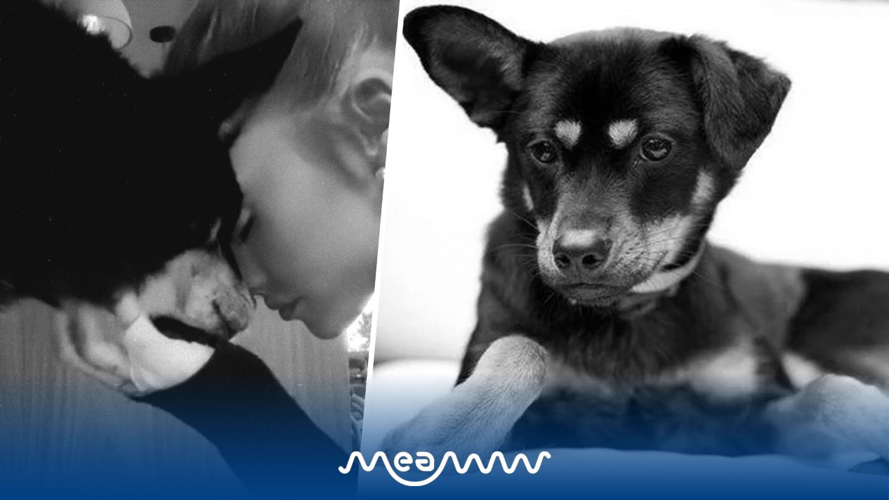 Ariana Grande Devastated as Beloved Dog Coco Dies After 17 Years Together