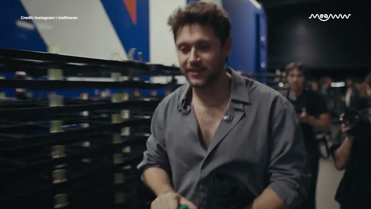Niall Horan Gets the Ultimate Surprise as Lewis Capaldi Crashes His Tour