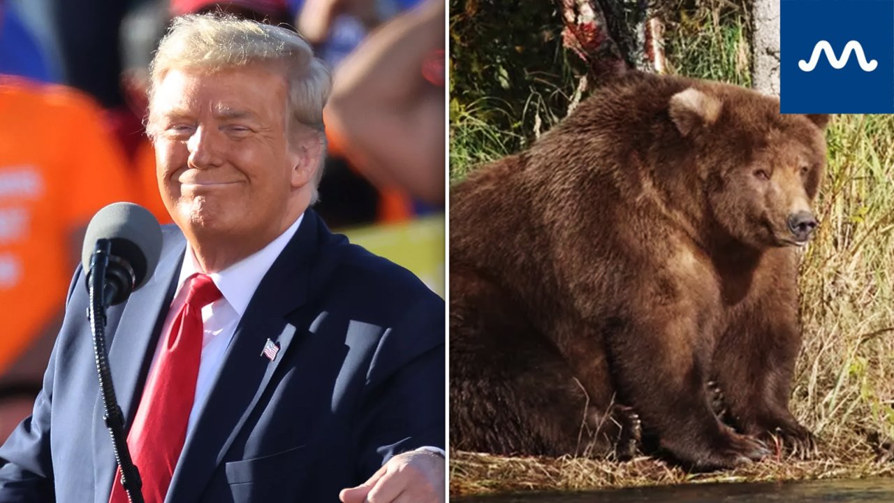 “The Animals Would Gain Weight!” Trump’s Wild Take on G*n Rights
