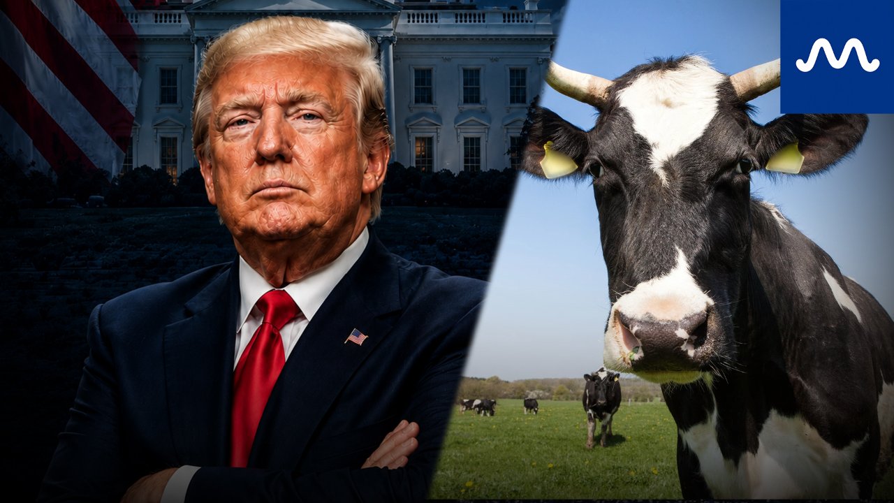 Trump Takes On America’s Beef Problem - But Meatpacking Isn’t the Only Issue