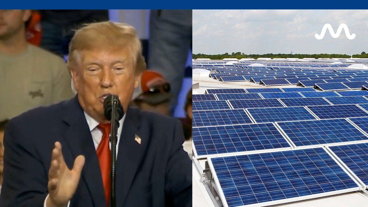 ‘The Animals Jump on Them and They Fry’: Trump on Solar Panels