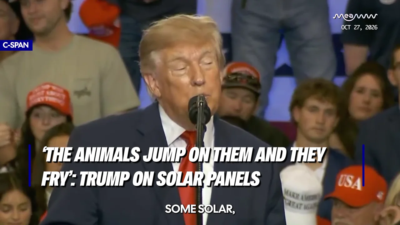 ‘The Animals Jump on Them and They Fry’: Trump on Solar Panels