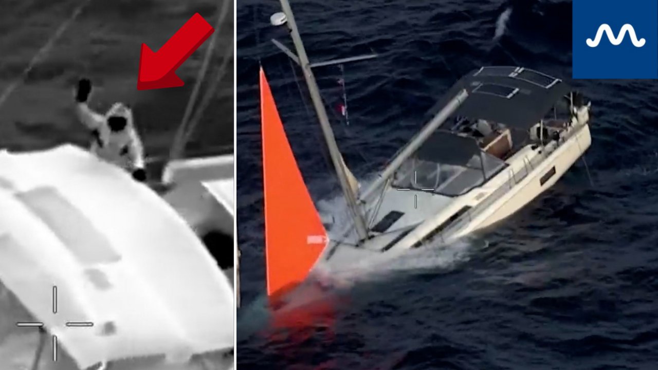 Sailors Rescued After Yacht Strikes Whale in South Pacific