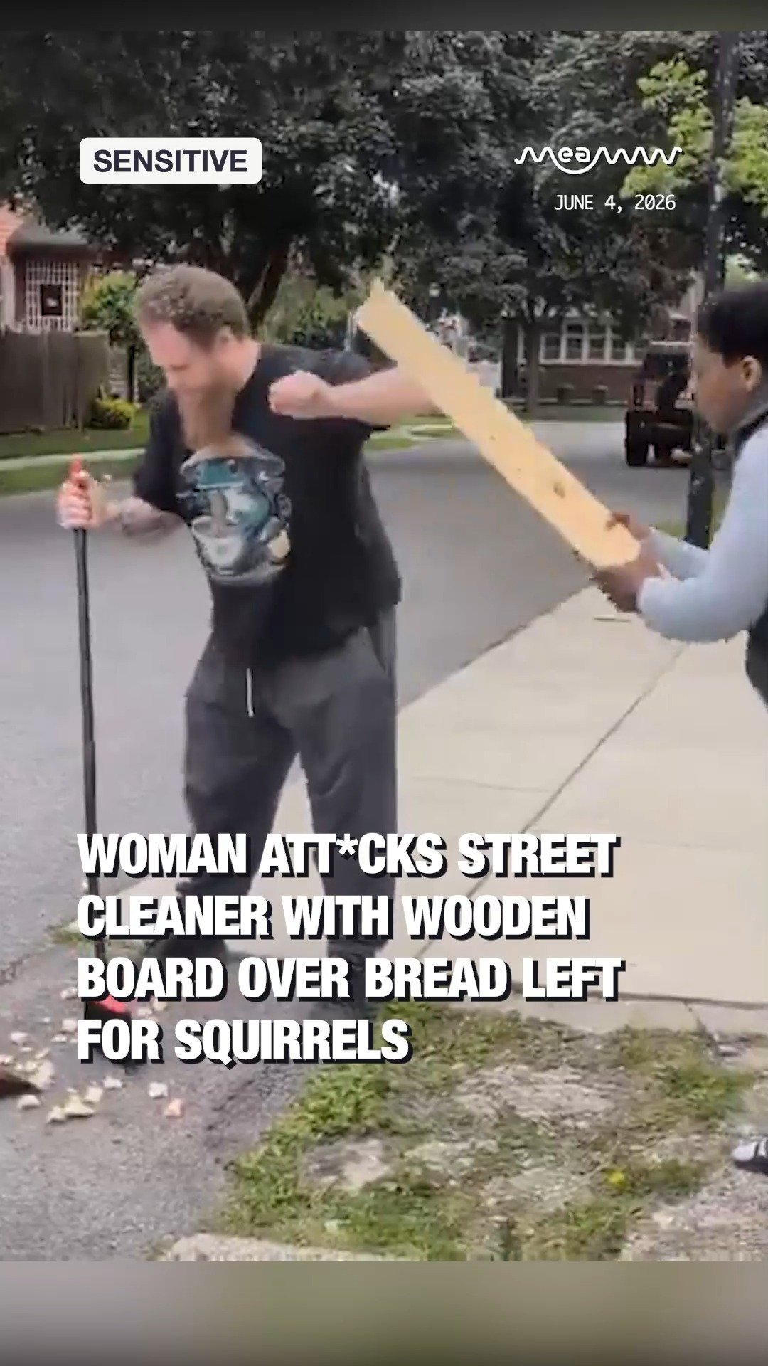 Woman Attacks Street Cleaner With Wooden Board Over Bread Left for Squirrels