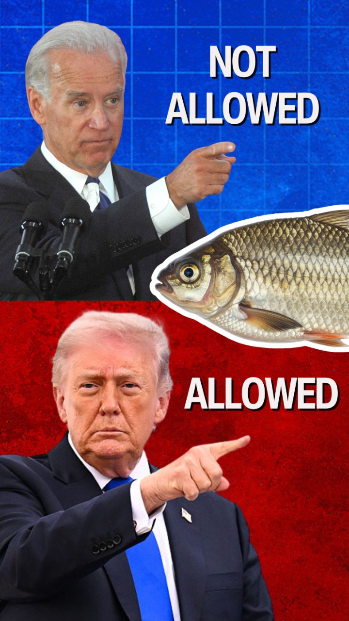 Why Was America Importing Seafood From Abroad While Its Own Fishermen Were Locked Out?