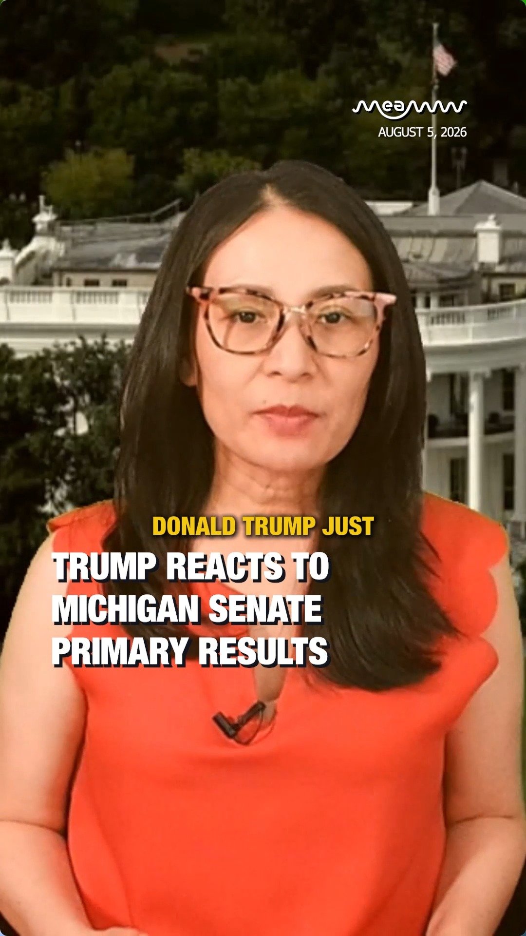 Michigan Senate Primary Results