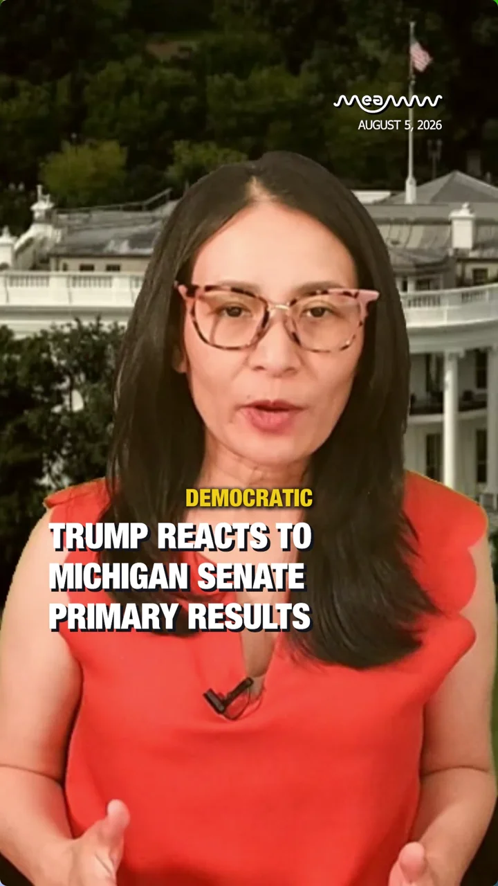 Michigan Senate Primary Results